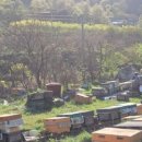 내검농장 이미지