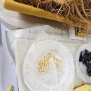 제10회 무용축제 | 2025 제23회 인삼한우명품축제&amp; 제10회 홍천사과축제 10.31 후기