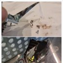 조각다방 이미지