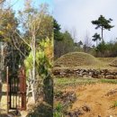 장암 무풍군 이총 사우 및 유물 일괄 | [충남투데이]부여군, 향토문화유산 3개 유적 지정