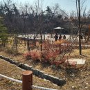 법성공원 Daum카페
