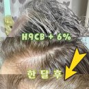 하이그레이