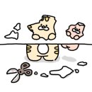 호텔징크 이미지