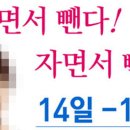 콕스다이어트캠프