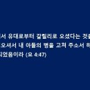 찾음 이미지