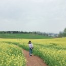 신장1로29번길 이미지