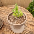 선경레이카운티부동산공인중개사사무소 이미지