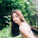 뉴랜드 이미지