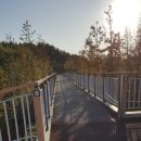 대원한방병원 이미지