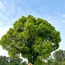 숲속노을 동물병원 이미지