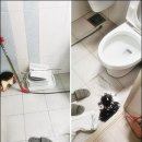 남부순환로230길 이미지