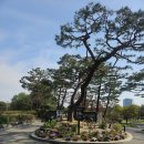 GS25광교40단지점 | 용인 태광CC 집 근처라 너무 편리한 골프장 : 봄날 라운딩