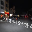 제주돼지1985
