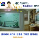수족관A/S전문 이미지