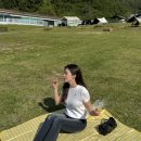 춘천 엘리시안 강촌 빵축제 숲속빵시장 후기