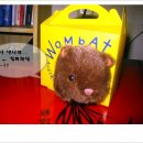 WOMBAT~!!^----------^* 이미지