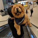 아기곰스튜디오 이미지