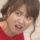 예산갈매기