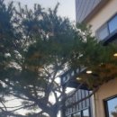 꿀밥식당 이미지