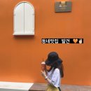 비토스콘 | 김포 마산동 카페, 비토스콘은 사랑이다