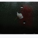 우주-무한궤도 이미지