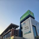 속초 여행 장보기 좋은곳, 농협 하나로마트 엑스포점 방문후기
