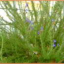 부귀농장 이미지