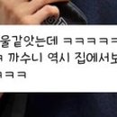 매일행복하개 이미지