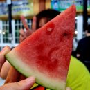 제주 한림 흑돼지 근고기 맛집 돈사돈 한림협재점