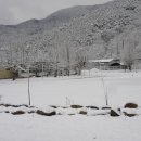 안법초등학교 이미지