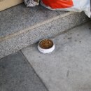 페토브 동물병원 이미지