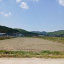 옥산신도시공인중개사사무소 이미지