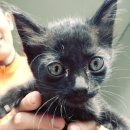 범박119안전센터 이미지