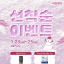 코지캣독