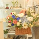 매일 꽃 이미지