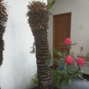 임계중앙교회 이미지