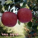 금바우골 티스토리