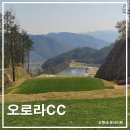 강원도 원주 오로라CC 라운딩 후기, 레이크 코스 솔직 리뷰