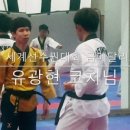 태권도왕호체육관 이미지