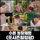 힐링팜 | 아이랑 수원 체험활동 하는곳, 화성 근처 아이랑 체험활동하기 좋고 가성비 좋은 포시즌힐링팜 주말 후기