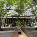 [단이네벌교꼬막 일산본점] 방문 후기