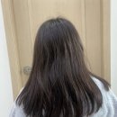 리하헤어 | 리하 헤어팩 손상모트리트먼트로 홈케어하기 물미역머리카락 만들기