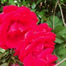 예원동경로당 이미지