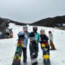 타타타 | 🎿 용평리조트렌탈샵 타타타렌탈샵 이용 후기
