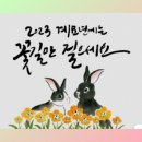 1월 2일(월) 올해는 계묘년(癸卯年), 검은 토끼의 해로 관련된 글 이미지