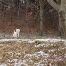 (주)펫츠랜드 이미지