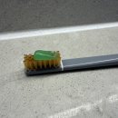 (주)이스트헬스케어 | 이스트헬스케어 피우마칫솔로 달라진 치석제거 칫솔 사용 후기