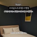 브라운도트 호텔 수영 이미지