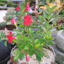 청안농장 이미지