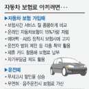 지피지 이미지